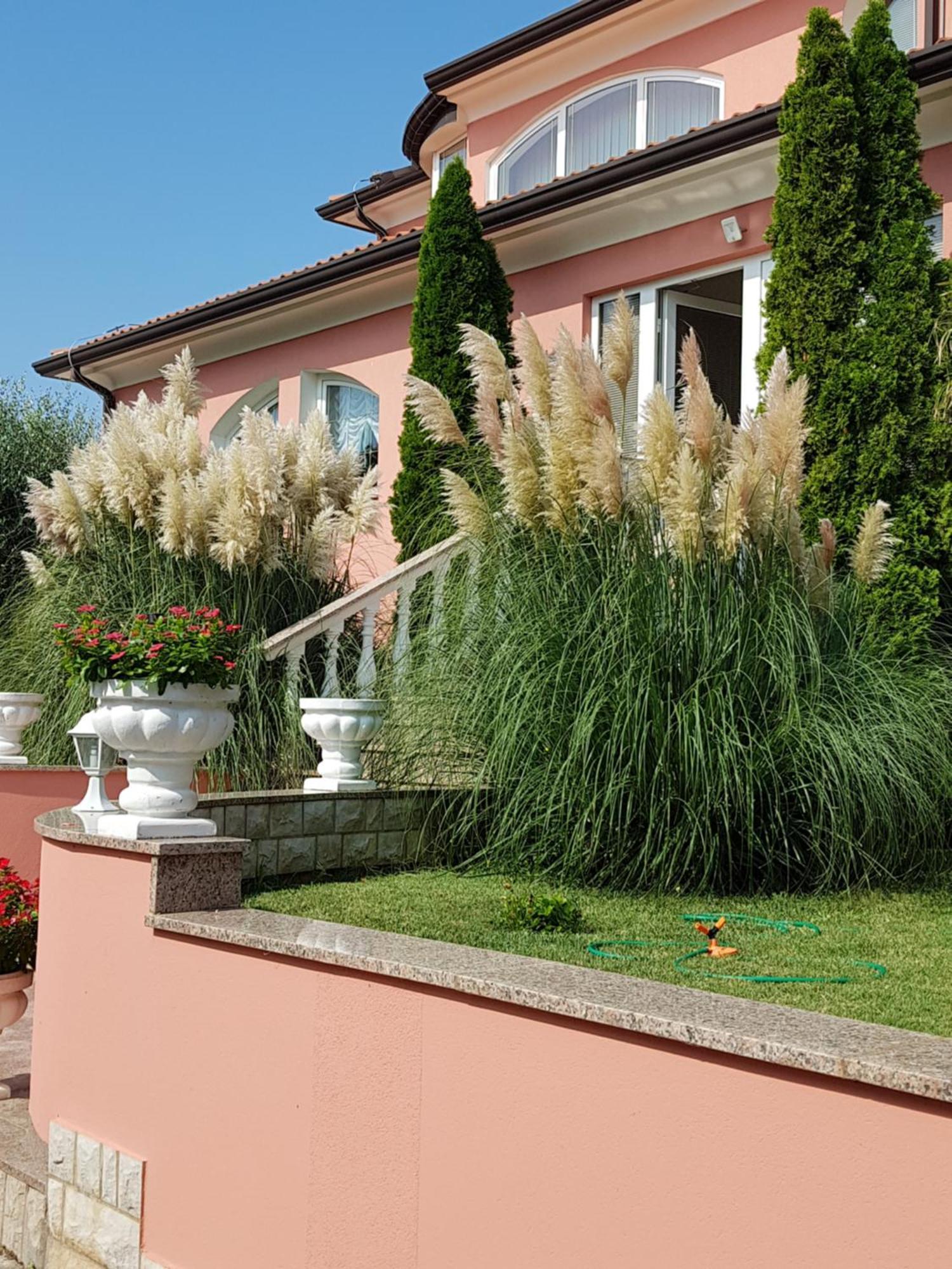 קרניצה Apartments And Rooms Villa Chiara מראה חיצוני תמונה