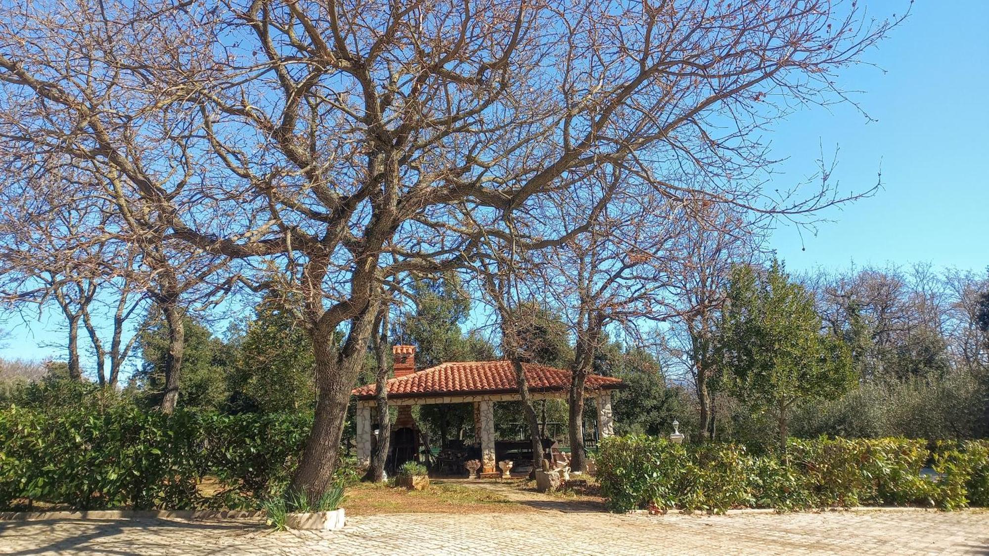 קרניצה Apartments And Rooms Villa Chiara מראה חיצוני תמונה
